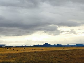 Private Golden Circle tour , photo 6