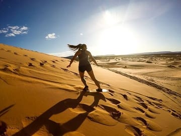 Half-day desert safari and swim opportiunity falcon Tours Doha Qatar