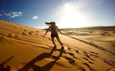 Safari Adventure with Sand Boarding and Camel Ride in Doha
