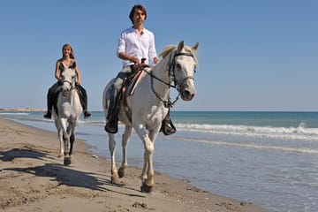 3-Hour Swim with Horses Experience in Hurghada