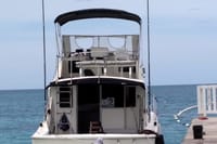Private Deep Sea Fishing in Montego Bay  4