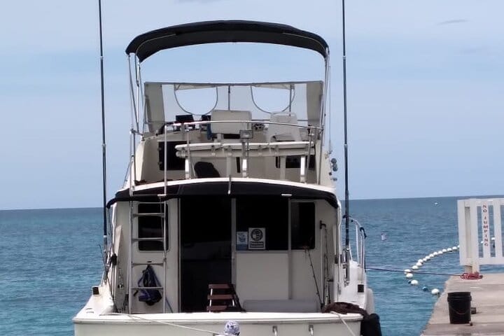 Private Deep Sea Fishing in Montego Bay  4