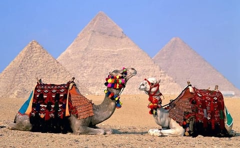 Giza Pyramids and Sphinx Half-Day Private Tour
