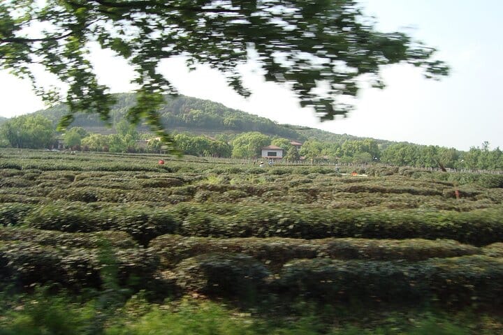 Beijing Forbidden City and Badaling Great Wall private day tour.