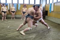 Tokyo Ryogoku Sumo Morning Practice + Photo Shoot with Wrestlers 2