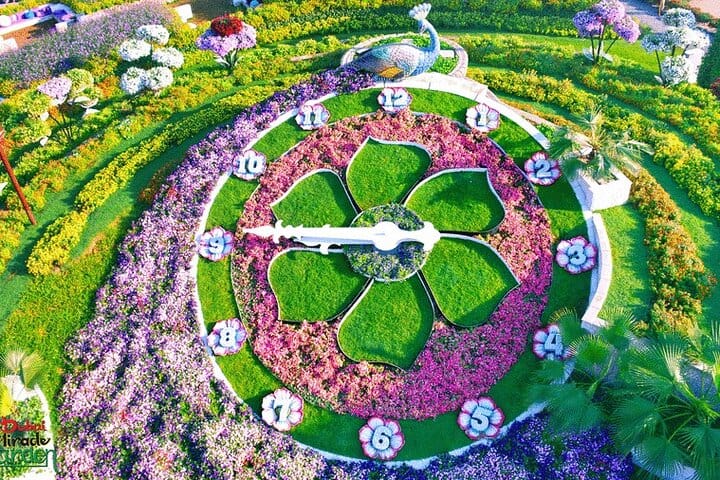 Miracle Garden Excursion