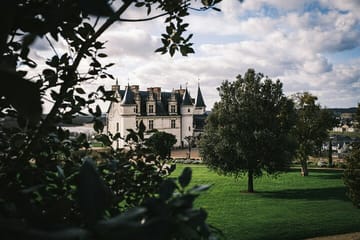 VIP Day Tour of Chambord, Chenonceaux, and Amboise from Paris