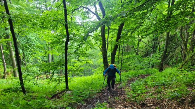Discover Apuseni Mountains. Scarita Summit, Sipote Waterfall and  Dumesti Village  photo 4