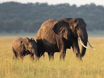 3-Day Safari and ATV Adventure in Murchison Falls NP