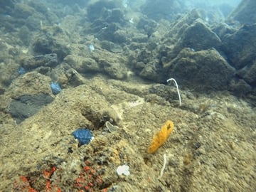 Scuba Diving Tour in Mirissa, Sri Lanka