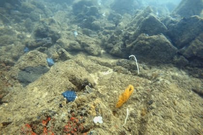 Scuba Diving in Mirissa