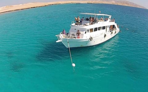 Ras Mohamed and White Island Snorkeling Tour from Sharm El Sheikh
