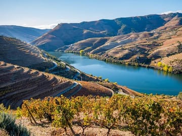Douro Valley