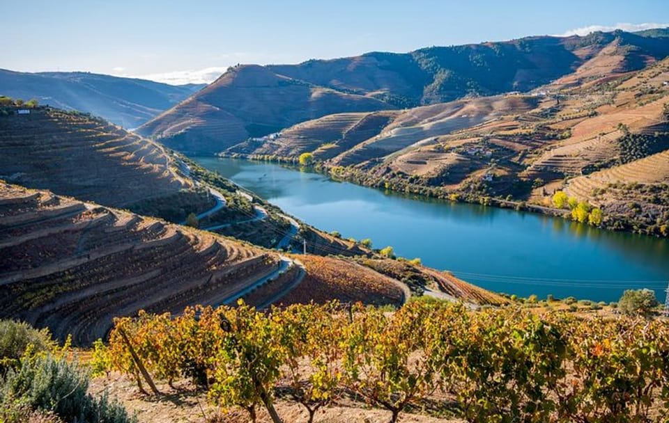 Private from Porto: Douro Valley Historical & Wine Tour