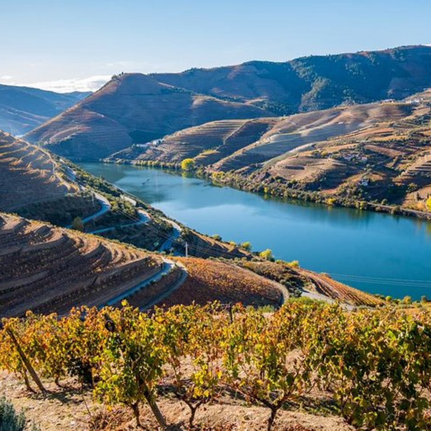 Douro histórico e vinhos em privado