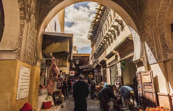 Half day Fes Walking Tour in the Medina with a Local Guide