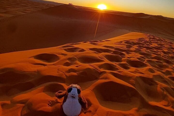 Marrakech to Fez via Merzouga Desert 3-Days MARZOUGA TO FEZ