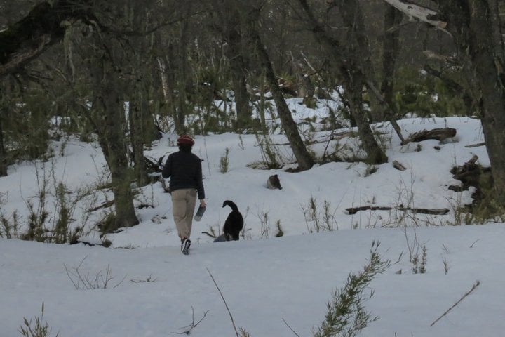 Traveler and the tour dog trekking through deep snow in the forest near San Martín de los Andes on the private 4x4 tour