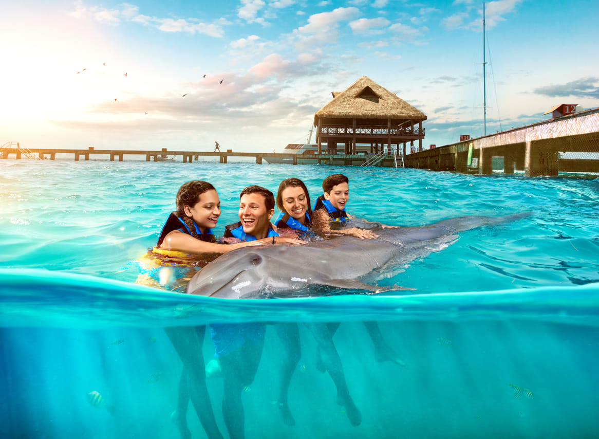 Isla Mujeres: Dolphin Connection 7