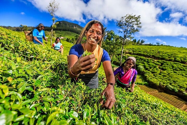 Sri Lanka Tour with Ceylon Travel Dream 5