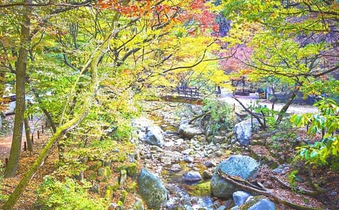Private Bukhansan Mountain Hike with Spa and BBQ in Seoul