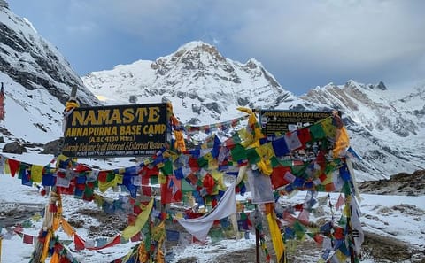 Annapurna Sanctuary Trek: 11-Day Walking Tour in Nepal