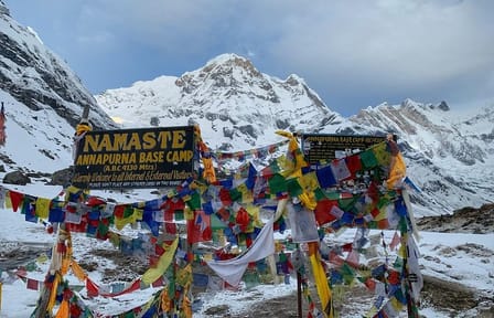 Annapurna Sanctuary Trek: 11-Day Walking Tour in Nepal