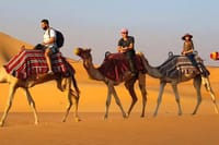 Camel Trekking In Abu Dhabi with Transfer, Fun and More 10