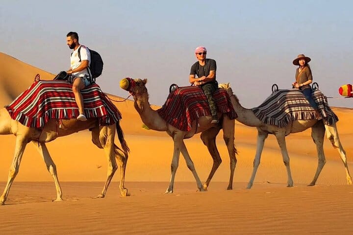 Camel Trekking In Abu Dhabi with Transfer, Fun and More 10