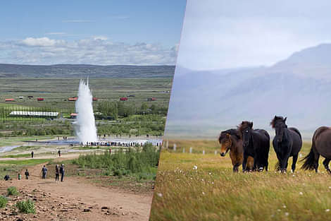Golden Circle and Horse Ride with Reykjavik Sightseeing - Summer view 
