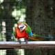 Bird Park