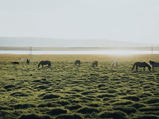 9 Day - Around Iceland & Wild Westfjords, photo 14