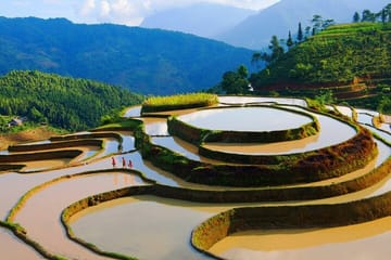 From Ha Giang City: Hoang Su Phi Experience 2 Days 1 night