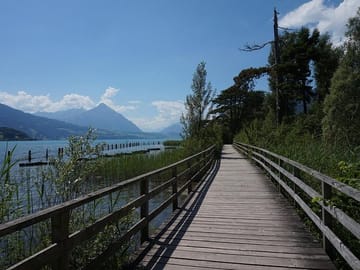 Interlaken: Scenic Walk Through Nature, Culture & Heritage