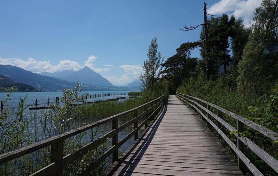 Scenic Walking Tour of Interlaken's Nature and Culture
