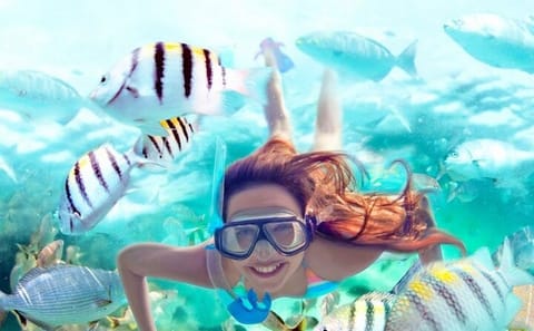 Snorkeling Adventure at Orange Bay Island, Hurghada