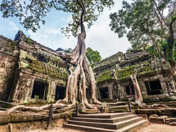 Angkor Temples & Lost City of Ta Prohm, Private Tour