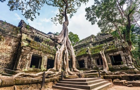 Cambodia Free & Easy Package, Private Tour