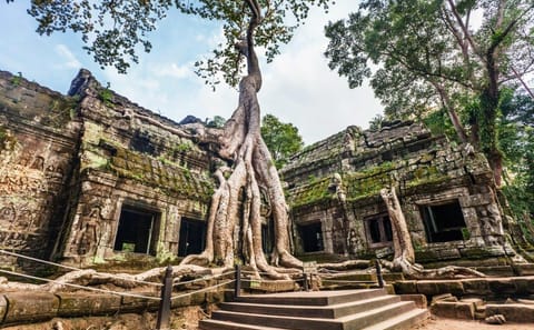 Private 4-Day Cultural Tour in Siem Reap, Cambodia
