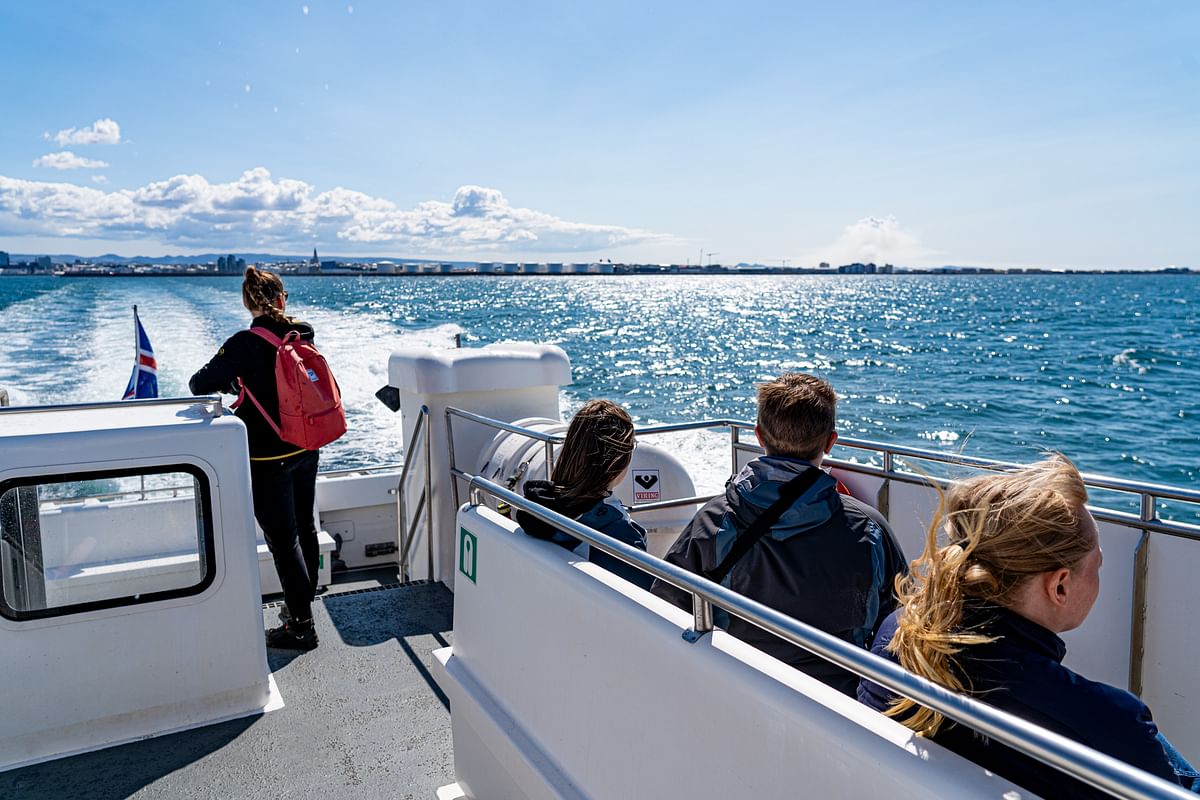 Whale Watching & Lava Show Reykjavik: Nature's Breathtaking Spectacle