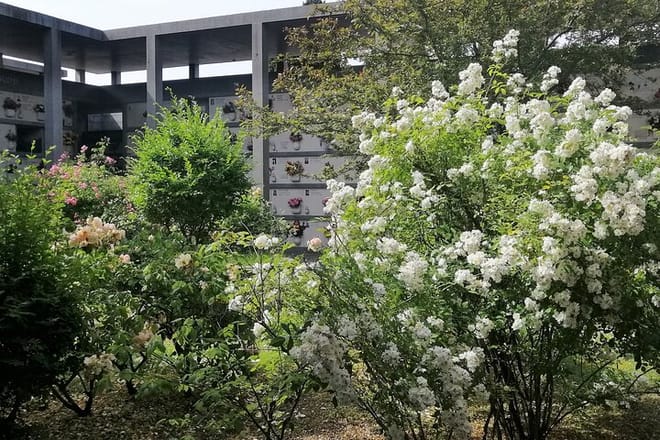 Venice's Cemetery on San Michele Island Tour 5