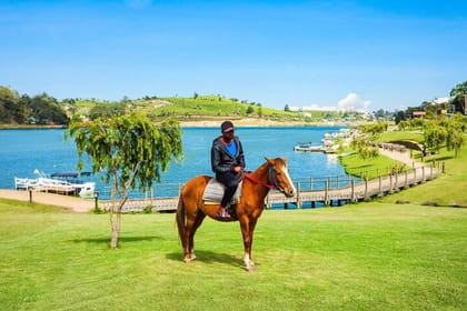 4-Hour Horse Riding in Nuwara Eliya