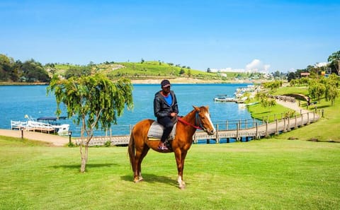 4-Hour Guided Horse Riding Tour in Nuwara Eliya