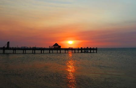 ATV Sunset and Sightseeing Tour in Coxen Hole, Honduras