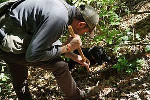 Private Truffle Hunting with Dogs with Wine Tour and Lunch