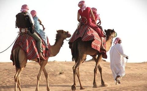 Desert Safari Adventure with Dune Bashing in Doha