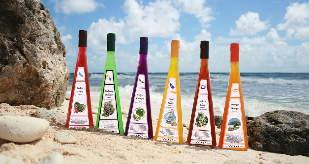 Rincon Visit with Local Guide