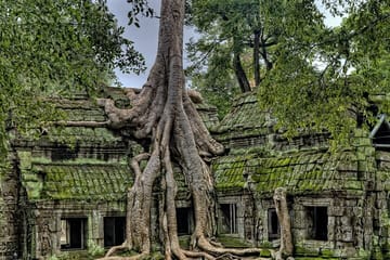 Private sunrise tour to Angkor Wat & other highlights with Professional Guide.