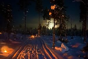 Late Night Ride with Finnhorses