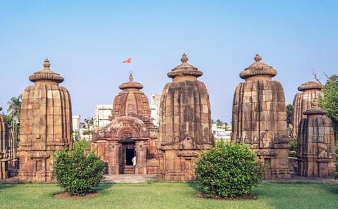 Bhubaneswar Temples and Mangrove Forests Tour